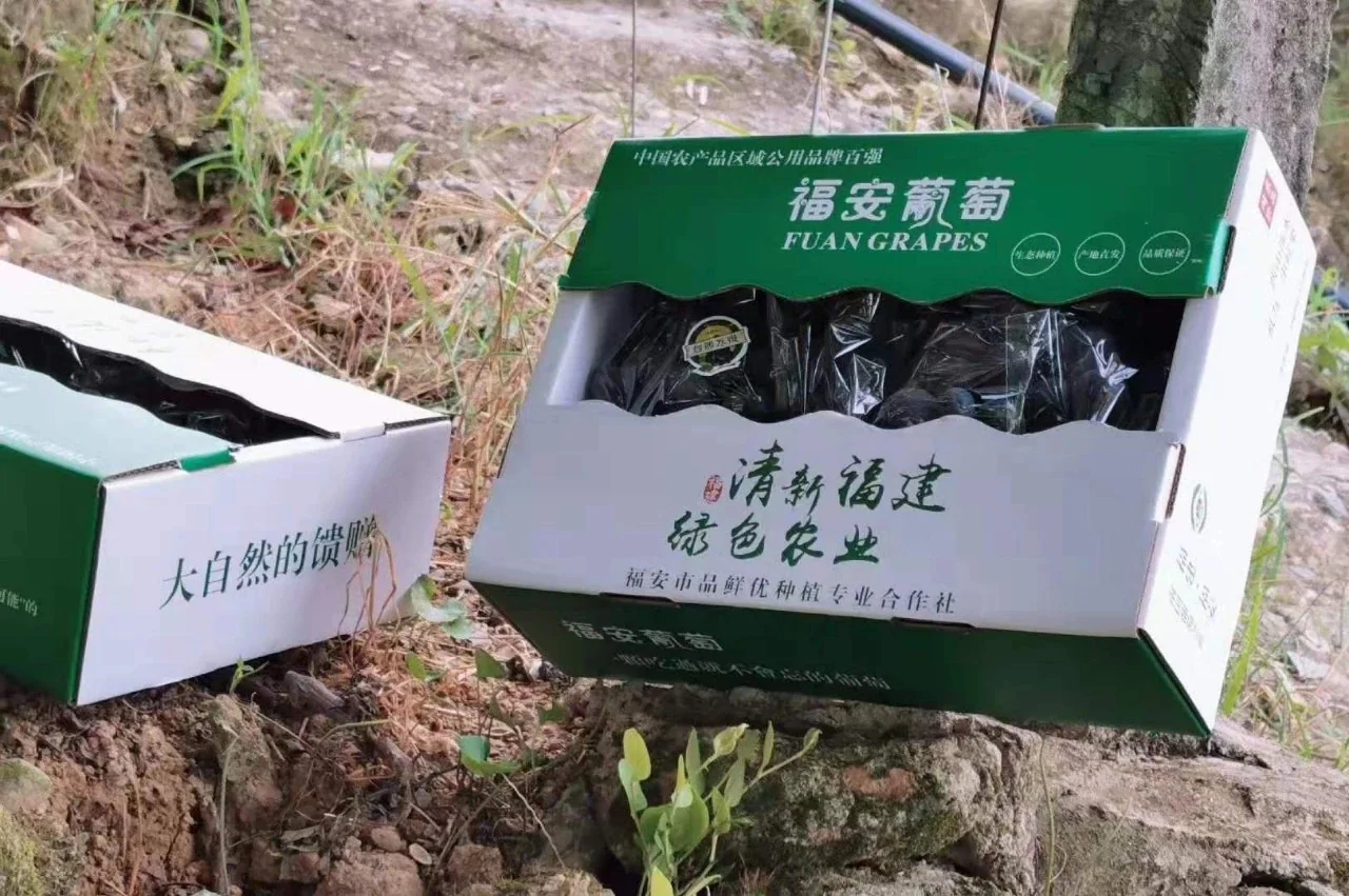 福安葡萄品牌包装